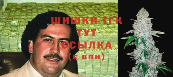 бошки Алексин