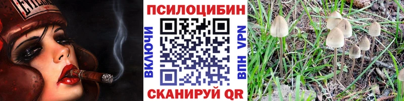 Псилоцибиновые грибы MAGIC MUSHROOMS Курлово